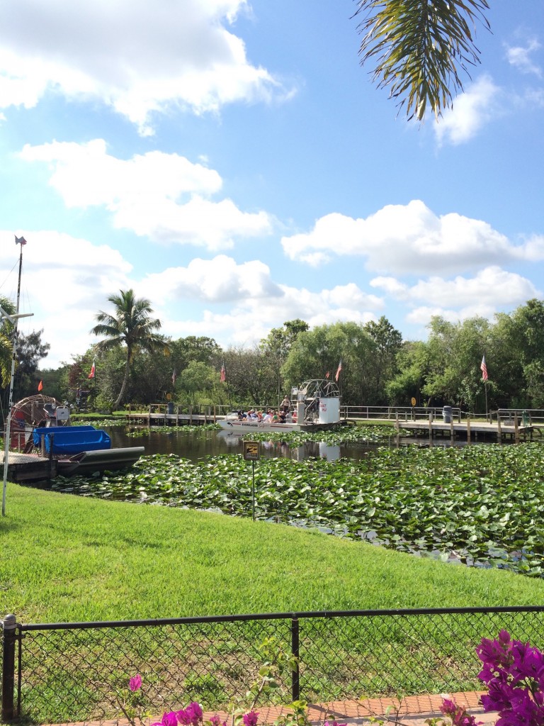 Everglades Miami