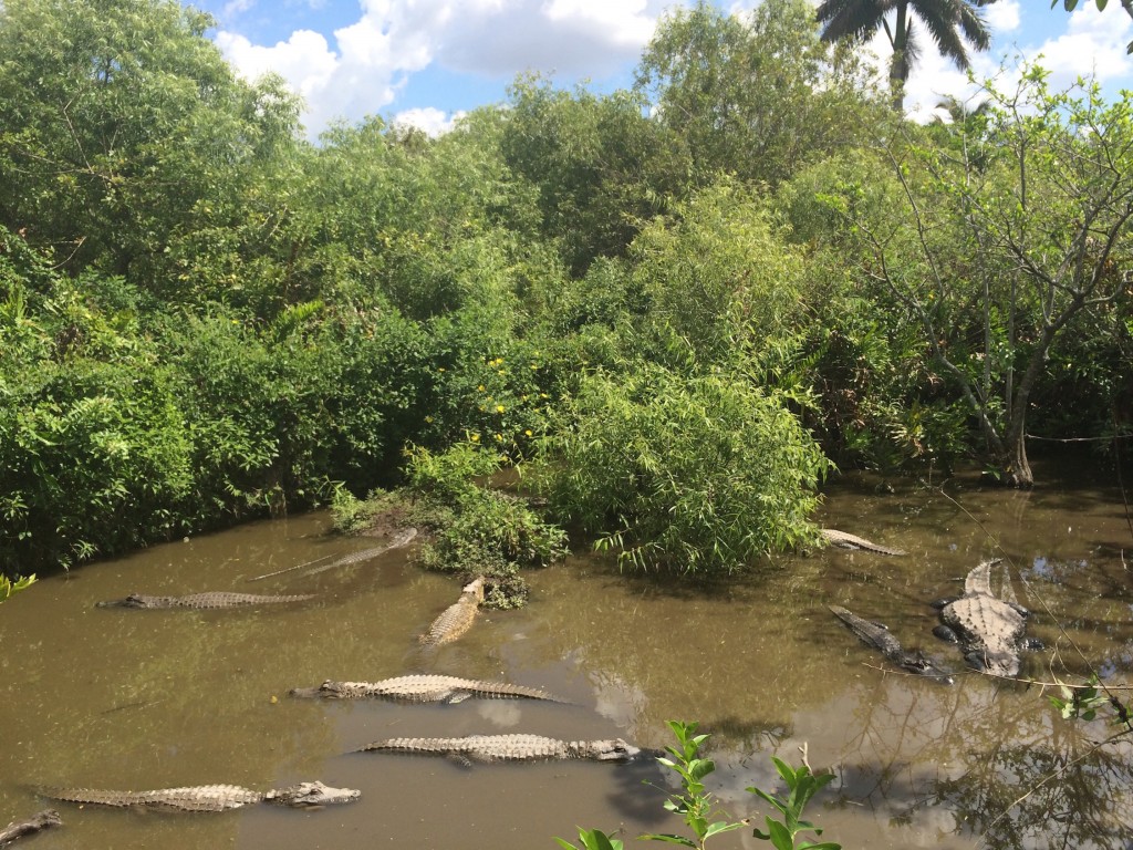 Everglades Miami