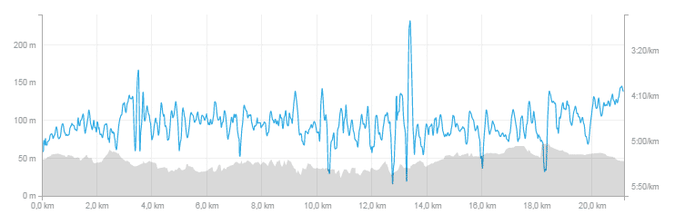semi-marathon