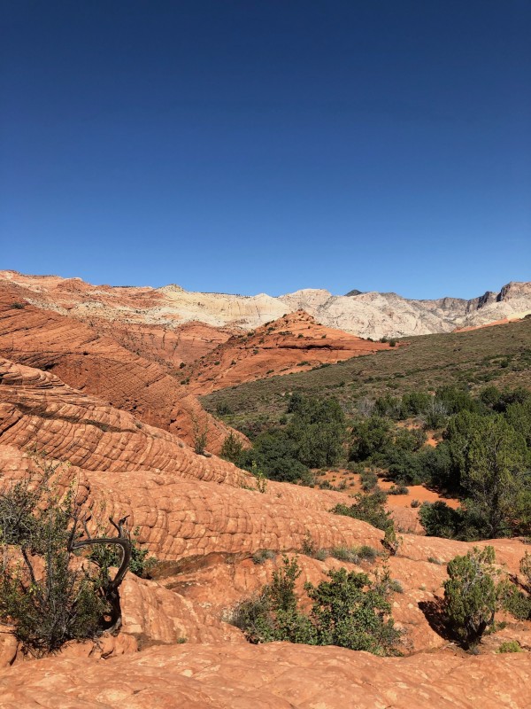 Ironman 70.3 St George Utah